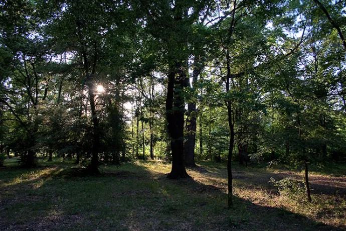 Public Park of Endrőd