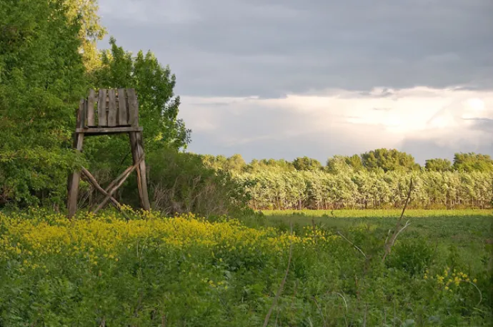 Hunting Blind in Német-zug