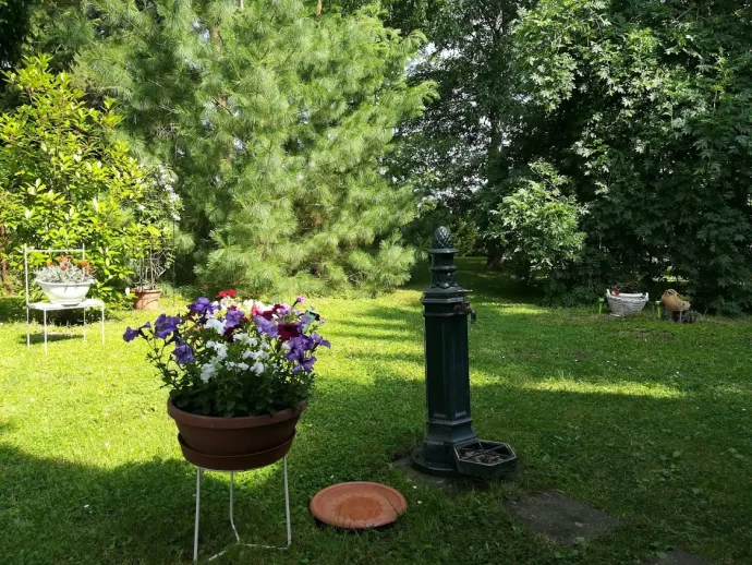 Gyuszi bácsi vízparti nyaralója