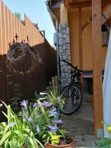 Nyár-Lak