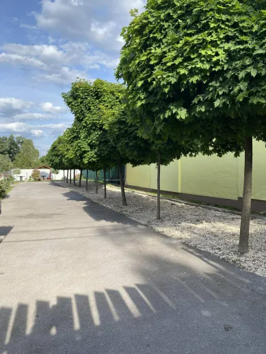 Sörkert apartmanok