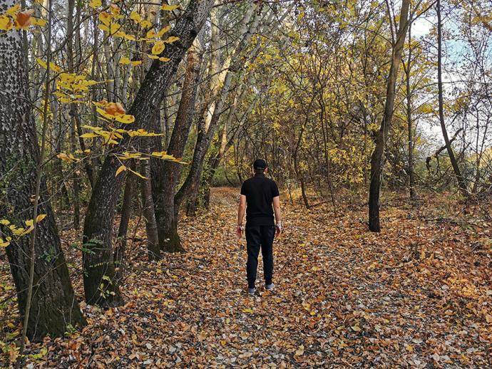 The Nature Trail of Gyomaendrőd