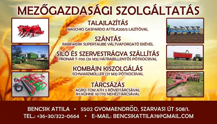 Bencsik Attila, Egyéni vállalkozó