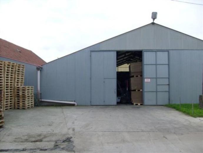 Cartoon Doboz és Csomagolóanyag készítő Kft.