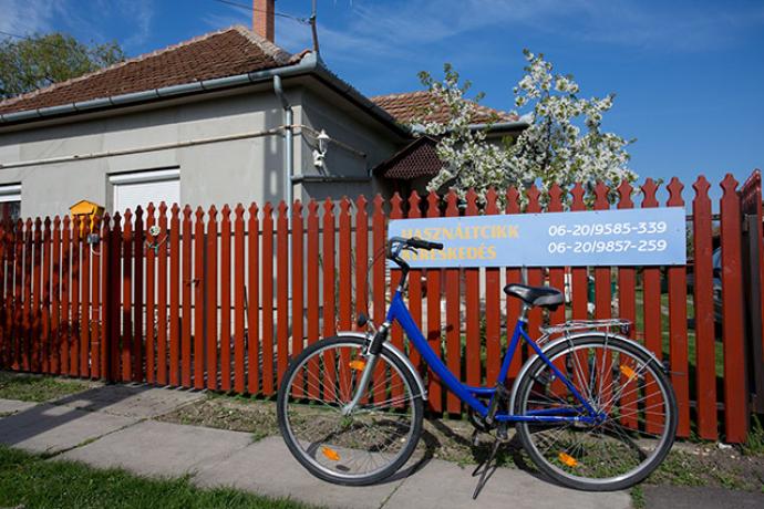 Használtcikk kereskedés