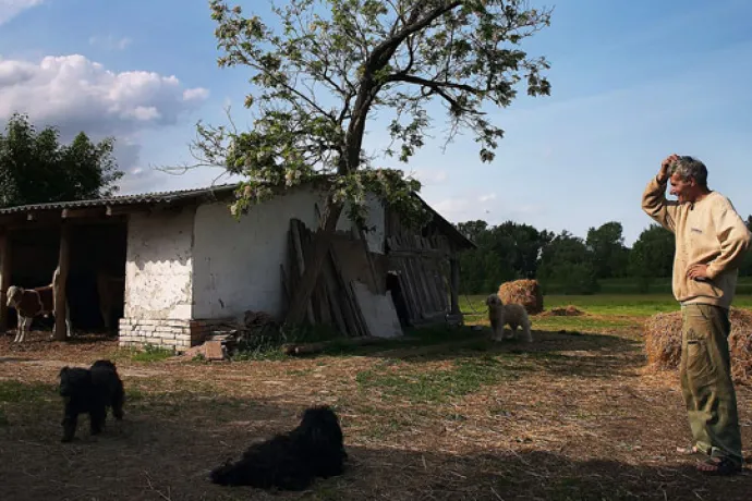 Élet egy gyomaendrődi tanyán - HD video