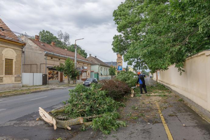 Letarolta a vihar Gyomaendrődöt - összefogással kezdődött meg a helyreállítás