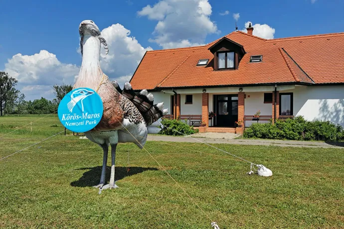Dévaványai Túzokrezervátum