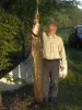 Harcsa (26 kg) - Hármas-Körös folyó