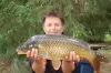 Ponty (13.2 kg) - Sóczó-zugi holtág