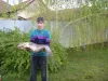 Harcsa (11 kg) - Németh-zugi holtág
