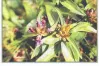 IX. Scientific Ethnographic Conference and Exhibition in Gyomaendrőd