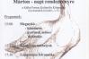 Márton - napi rendezvény
