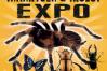 XXL Madárpók és Rovarkiállítás Tarantula & Insect Expo