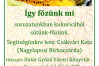 Kukoricázzunk!