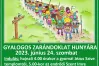 Gyalogos zarándoklat Hunyára 2023