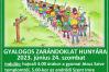 Gyalogos zarándoklat Hunyára 2023