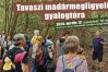 Tavaszi madármegfigyelő gyalogtúra