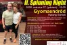 II. Spinning Night