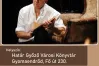 Szerelmem, Erdély - Rékasi Károly Wass Albert-estje