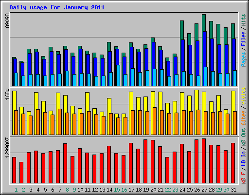Daily usage for January 2011