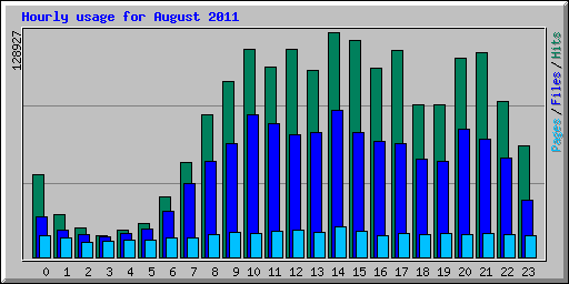 Hourly usage for August 2011